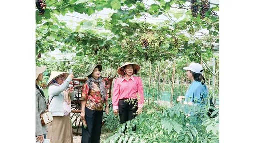Mở rộng không gian, thúc đẩy du lịch địa phương phát triển