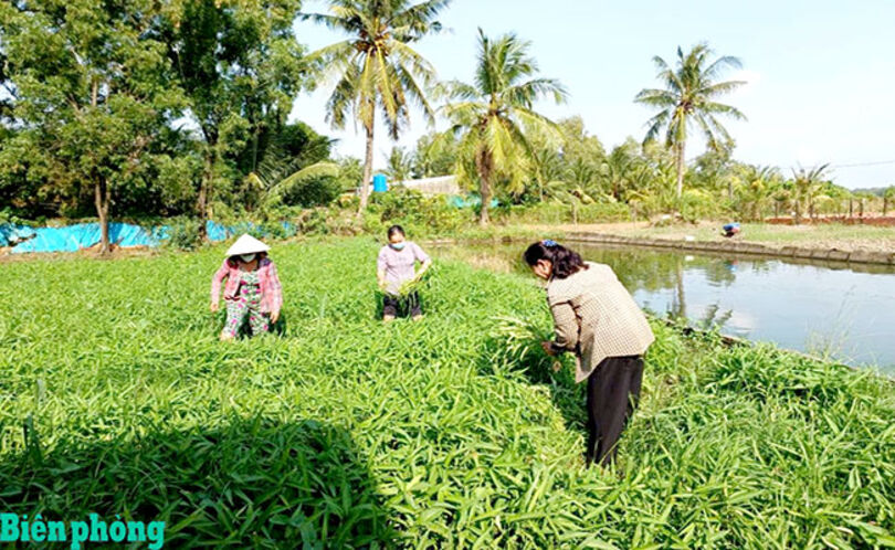 ផ្គួប​បញ្ចូល​កម្ម​វិធី​ គម្រោង​ជា​ច្រើន​ឧបត្ថម្ភ​ជន​រួម​ជាតិ​ភាគ​តិច​ចាក​ផុត​ភាព​ក្រីក្រ​ដោយ​ចីរ​ភាព​