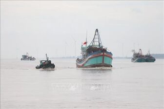 Ben Tre steps up efforts to fight IUU fishing
