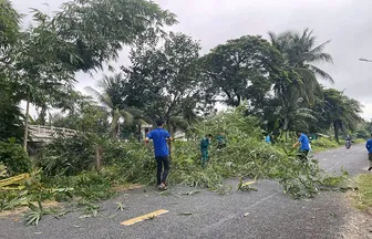 Duy trì, nâng chất các tuyến đường sáng - xanh - sạch - đẹp