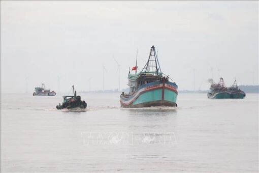 Ben Tre steps up efforts to fight IUU fishing