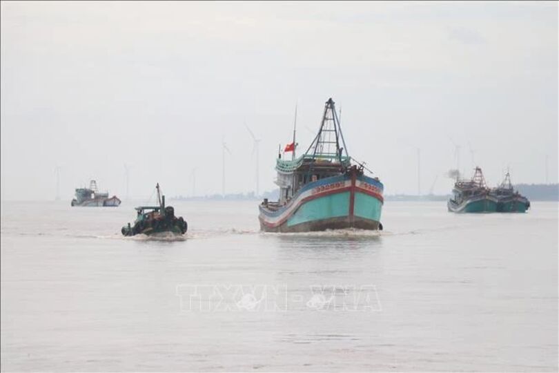 Ben Tre steps up efforts to fight IUU fishing
