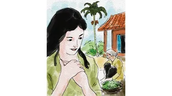 Cây nguyệt quế mẹ trồng