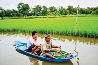 “Mê” trồng lúa hữu cơ