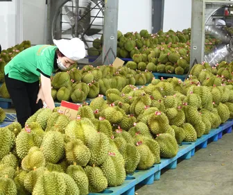 Tìm lối mở để nông sản Việt rộng đường xuất ngoại