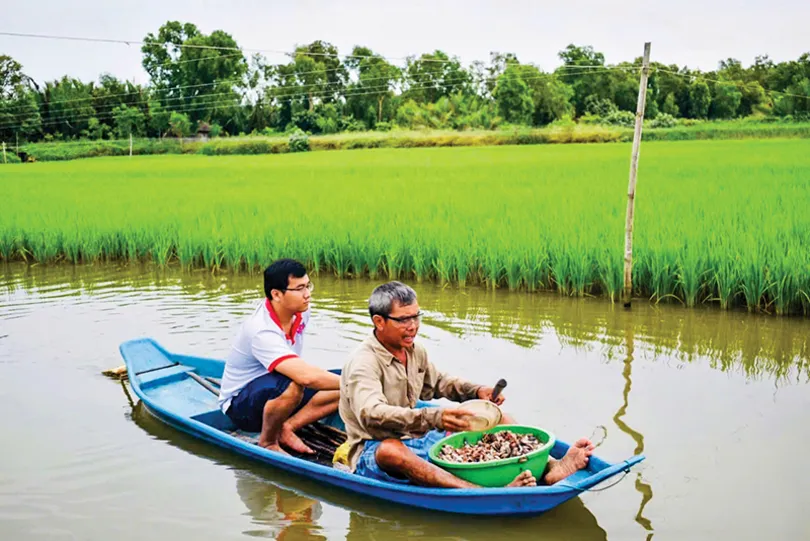 “Mê” trồng lúa hữu cơ