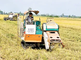 Hỗ trợ phát triển sinh kế bền vững cho người dân vùng ĐBSCL