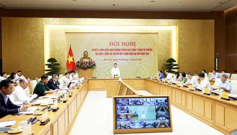 Tiếp tục đầu tư, khẳng định vị thế và tiềm năng của y dược cổ truyền