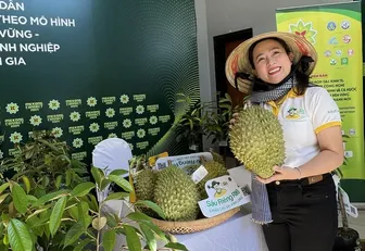 Nguồn lợi lớn đang chao đảo