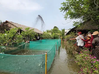 Phát triển, định vị thương hiệu sản phẩm nông nghiệp, dịch vụ nông thôn