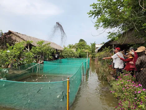 Phát triển, định vị thương hiệu sản phẩm nông nghiệp, dịch vụ nông thôn