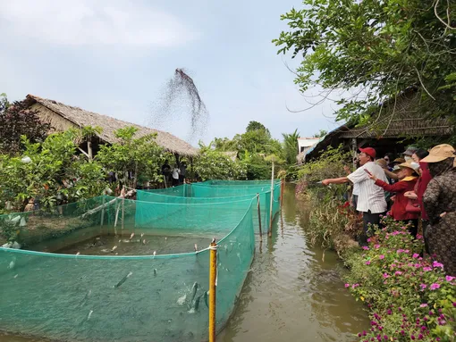 Phát triển, định vị thương hiệu sản phẩm nông nghiệp, dịch vụ nông thôn