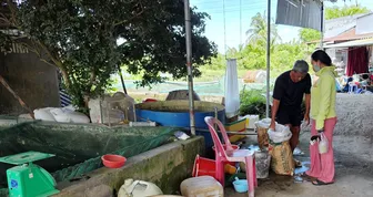 Cá giống bắt đầu tăng giá