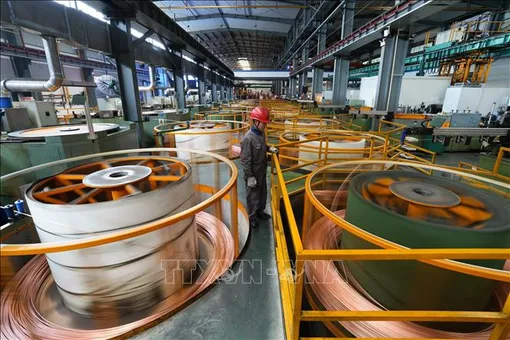 Mỹ tuyên bố áp thuế 50% đối với đồng nhập khẩu