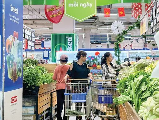 TP Cần Thơ thu nội địa 6 tháng đầu năm 2025 đạt 55,9% dự toán
