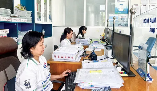 Ngành điện nỗ lực thực hiện công tác sáp nhập, không làm gián đoạn hoạt động cấp điện