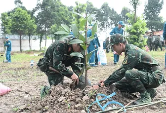 Lực lượng vũ trang Quân khu 9 trồng trên 746.000 cây phân tán
