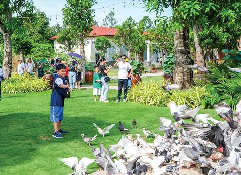 Thúc đẩy tăng trưởng kinh tế