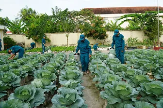 Ngành Hậu cần Quân khu 9 làm theo lời Bác Hồ dạy