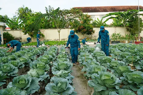 Ngành Hậu cần Quân khu 9 làm theo lời Bác Hồ dạy