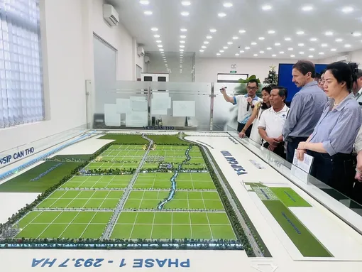 Sớm hỗ trợ nhà đầu tư khu công nghiệp VSIP Cần Thơ thí điểm sử dụng cát biển làm vật liệu san lấp