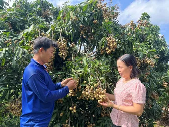 Tiếp thêm động lực cho hợp tác xã trên chặng đường phát triển mới