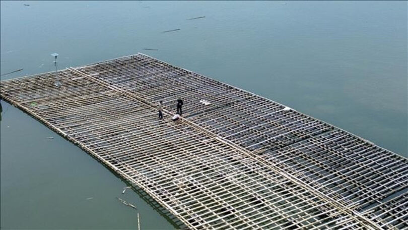 Tropical storm Wipha barrels toward Vietnam, sparks response in coastal hotspots