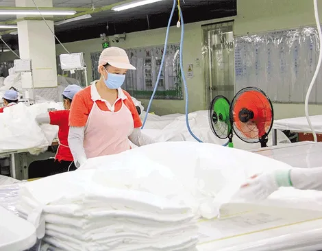 Bức tranh kinh tế nhiều gam màu sáng, nhưng thách thức còn ở phía trước