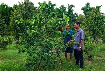 Bí thư chi bộ ấp tận tụy phục vụ nhân dân
