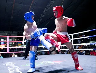 Tiềm năng phát triển kickboxing khi nguồn lực quy tụ về một mối