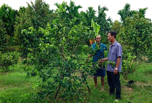 Bí thư chi bộ ấp tận tụy phục vụ nhân dân