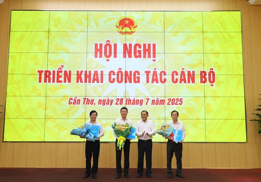 Công bố quyết định bổ nhiệm Phó giám đốc Trung tâm Phát triển quỹ đất TP Cần Thơ Công bố quyết định bổ nhiệm Phó giám đốc Trung tâm Phát triển quỹ đất TP Cần Thơ