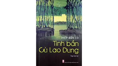 Một cây cầu nhỏ bắc qua miền ký ức