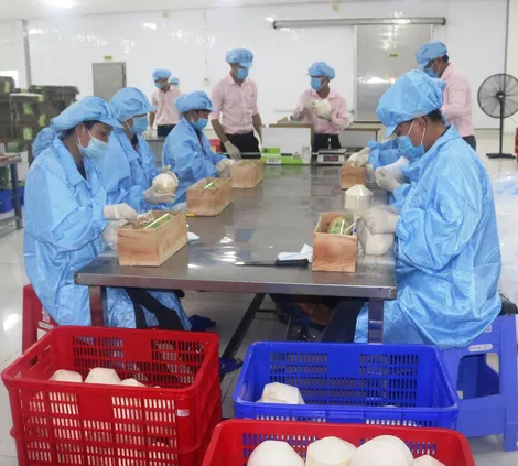 Nhiều loại trái cây còn tiềm năng lớn để xuất khẩu