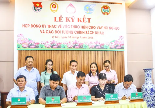 Phòng giao dịch Ngân hàng chính sách xã hội Hậu Giang ký kết hợp đồng ủy thác cho vay với 3 xã, phường Phòng giao dịch Ngân hàng chính sách xã hội Hậu Giang ký kết hợp đồng ủy thác cho vay với 3 xã, phường