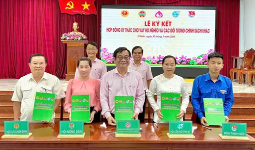 Nâng cao hiệu quả hoạt động ủy thác, phục vụ tốt hơn nhu cầu phát triển sản xuất, kinh doanh Nâng cao hiệu quả hoạt động ủy thác, phục vụ tốt hơn nhu cầu phát triển sản xuất, kinh doanh