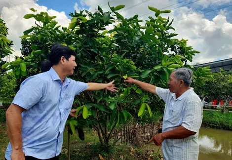 Lãnh đạo phường Cái Răng thăm, khảo sát một số mô hình sản xuất nông nghiệp