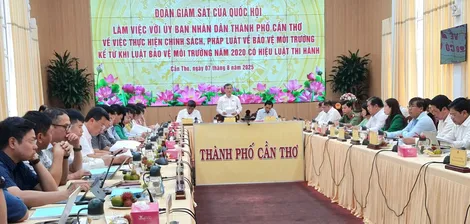 Đoàn giám sát của Quốc hội làm việc về thực hiện chính sách, pháp luật bảo vệ môi trường tại TP Cần Thơ