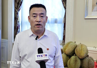 Chinese firms expect expanded imports of Vietnamese agro-forestry products