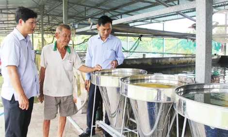 Sản lượng thủy sản nuôi trồng đạt gần 293.680 tấn