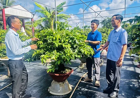 Tích cực hỗ trợ nhân dân nâng cao đời sống