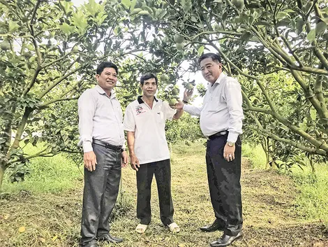 Tăng cường giải pháp chuyển đổi cây trồng trên đất lúa kém hiệu quả