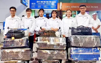 Hơn 85.700 lao động Việt Nam đi làm việc ở nước ngoài