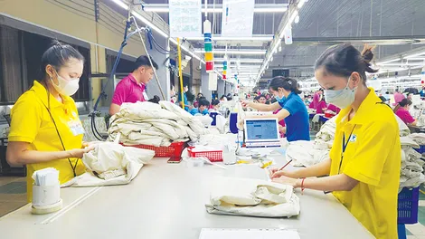 Vào năm 2030: Kinh tế tư nhân đóng góp khoảng 70-80% GRDP của TP Cần Thơ