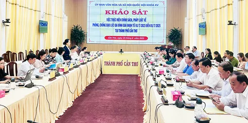 Ủy ban Văn hóa và Xã hội của Quốc hội khảo sát việc thực hiện chính sách, pháp luật về phòng, chống bạo lực gia đình tại Cần Thơ