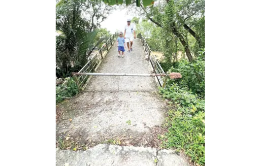 Cần sớm sửa chữa, nâng cấp cầu Hàng Bần nhỏ