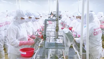 Doanh nghiệp linh hoạt thích ứng với thuế đối ứng từ Mỹ
