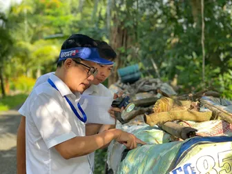 Diệt muỗi, lăng quăng để phòng bệnh Chikungunya và sốt xuất huyết