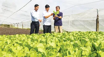 Hợp lực nâng chất chuỗi giá trị nông sản