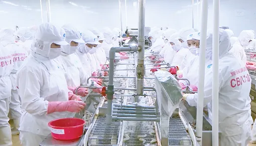 Doanh nghiệp linh hoạt thích ứng với thuế đối ứng từ Mỹ